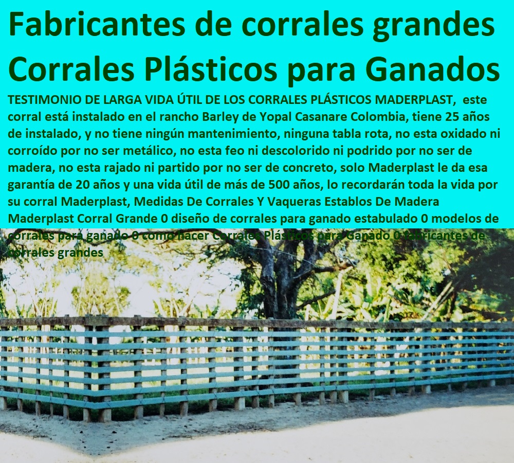 Medidas De Corrales Y Vaqueras Establos De Madera Maderplast Corral Grande 0 diseño de corrales para ganado estabulado 0 modelos de corrales para ganado 0 como hacer Corrales Plásticos para Ganado 0 Mangas De Coleo, Corral Caballerizas, Pesebreras De Caballos, Plaza Toros, Brete Ganadero, Apretaderos Embarcaderos, Postes Tablas, Polines Varetas, Mangas De Coleo, Horcones Madera Plástica, Corrales, Establos De Ganado, fabricantes de corrales grandes Medidas De Corrales Y Vaqueras Establos De Madera Maderplast Corral Grande 0 diseño de corrales para ganado estabulado 0 modelos de corrales para ganado 0 como hacer Corrales Plásticos para Ganado 0 fabricantes de corrales grandes